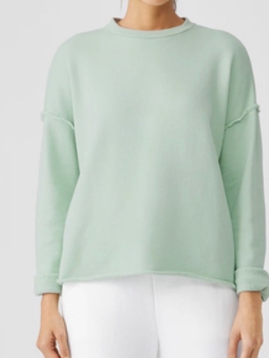 Eileen Fisher Tops - Eileen Fisher Organic Cotton French Terry Box Crew Top Light Green/Blue